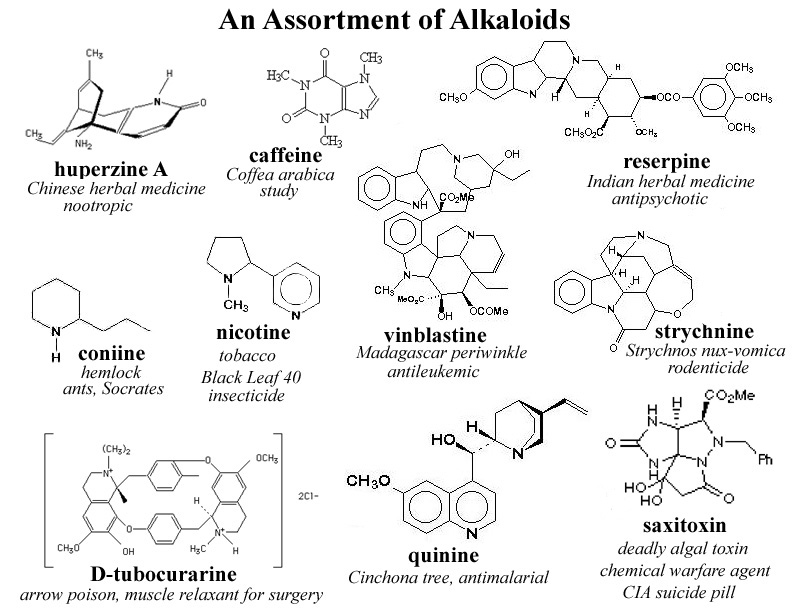 Chemistry Organic Compounds