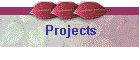 Projects