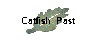 Catfish  Past
