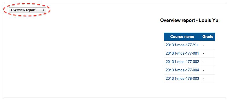 Overview Report